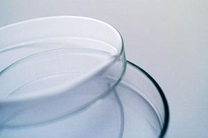 松阪市のチーム医療を行なう歯科医院