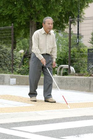 小山市で見つける信頼の歯科クリニック2025年版｜安心と技術の完全ガイド