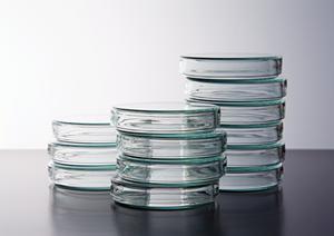 海浜幕張の歯科選びで失敗しない！安心と信頼の歯科医院を徹底ガイド