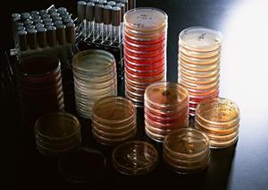 内科専門医が語る、米沢市で受けられる最新内視鏡検査とは？